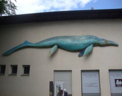 pfarrausflug_sommer_2019_91_20190916_2048805923